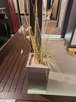 Art. 146082