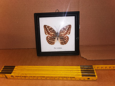 Art. 153647